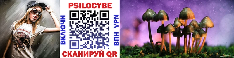 Псилоцибиновые грибы Psilocybe  Энем 